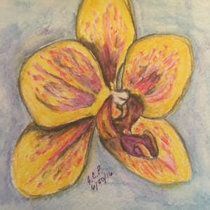 Yellow and Red Moth Orchid by Jennifer C.  Pierstorff