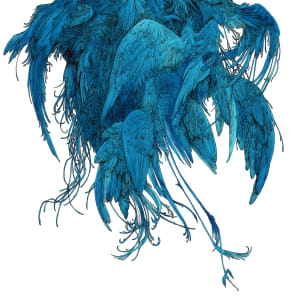 From Above by Lucie Van der Elst, Image 1.