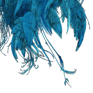 From Above by Lucie Van der Elst, Image 4.