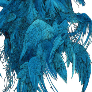 From Above by Lucie Van der Elst, Image 5.