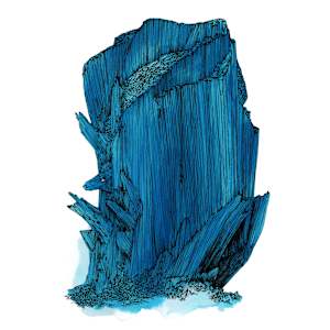 Blinders and Moray by Lucie Van der Elst