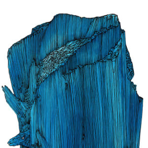 Blinders and Moray by Lucie Van der Elst 