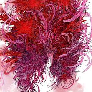 Chestburster by Lucie Van der Elst 