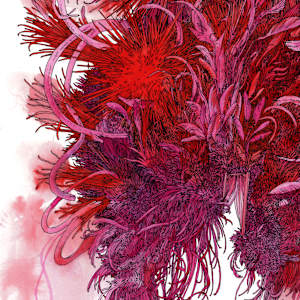 Chestburster by Lucie Van der Elst 