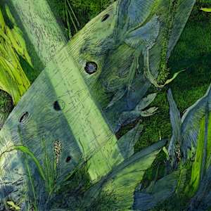 Forgotten Melodies by Lucie Van der Elst, Image 2.