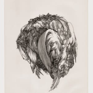 Bird 1 by Lucie Van der Elst