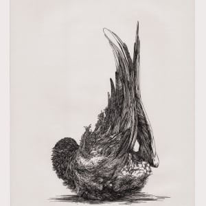 Bird 3 by Lucie Van der Elst