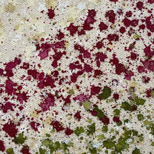 The Nature Circles! by Astrid Stoeppel  Image: detail