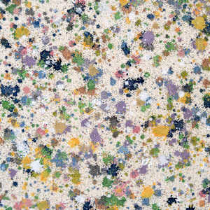 The Nature Field #2 by Astrid Stoeppel  Image: detail