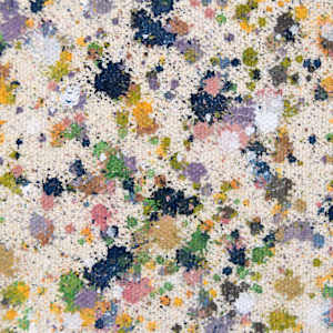 The Nature Field #2 by Astrid Stoeppel  Image: detail