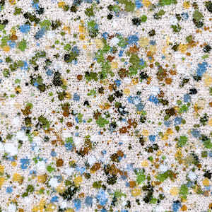 The Nature Field #4 by Astrid Stoeppel, Image 7.