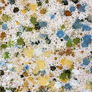 The Nature Field #4 by Astrid Stoeppel, Image 10.