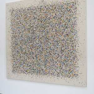 The Nature Field! by Astrid Stoeppel  Image: studio wall