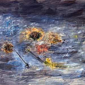 Sohbet: Encuentros en la orilla del río by Juan Andrés Marin, Image 1.