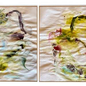 Untitled (cisnes) by Juan Andrés Marin Forero