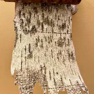 Campground Two-Ply by Ann Jones-Weinstock, Image 3.