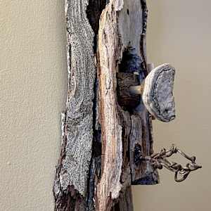 Always, Unlocked by Ann Jones-Weinstock, Image 2.