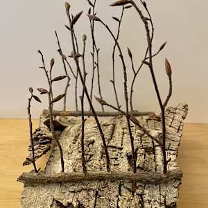 Sanctuary Woods by Ann Jones-Weinstock, Image 3.