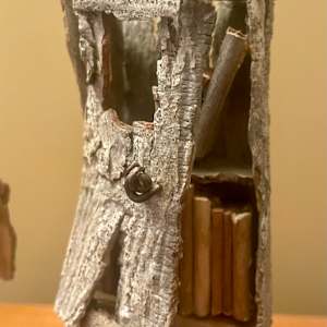 Tilly's free libraries by Ann Jones-Weinstock, Image 3.
