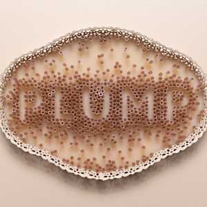 Augmented Reality (PLUMP) by Holly Ballard Martz 