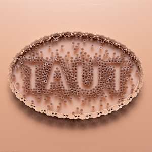 Augmented Reality (TAUT) by Holly Ballard Martz 