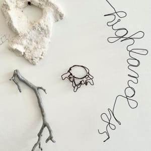 Vertebrae by Mary Coss 