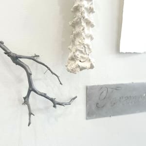 Limb by Mary Coss 