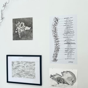 Spinal Index by Mary Coss 