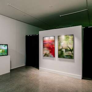 Reduced Landscape: Burn 1 by Maja Petric 