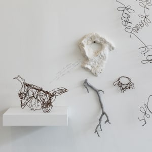 Hipbone by Mary Coss 