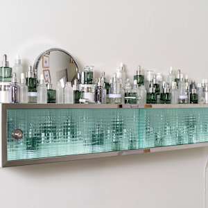 Shelf Life (youthful glow) by Holly Ballard Martz 