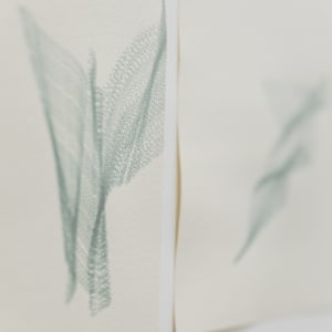 Untitled (it's that feeling of being completely at ease / for that moment I thought I knew) by Alyson Provax 