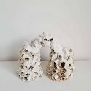 Bridge Builder by Kate Rusek 