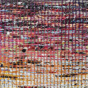 An almost limitless horizon/ The margins of well understood science by Tali Weinberg 