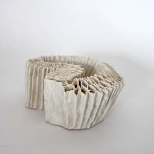Diatom Test Specimen 02 by Kate Rusek 