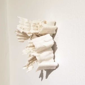 Terra Test by Kate Rusek 