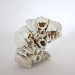 Burnt Out 07 by Kate Rusek 