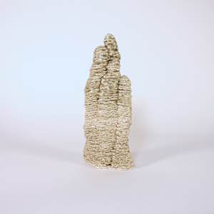Forced Slowing 002 by Kate Rusek 