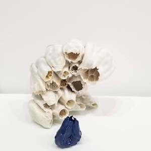 Burnt Out 07 by Kate Rusek 
