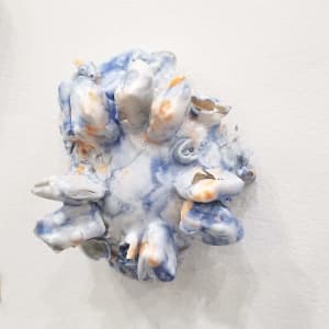 Tunicate Test by Kate Rusek 