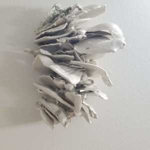 Growth Point by Kate Rusek 