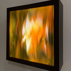Reduced Landscape: Burn 1 by Maja Petric 
