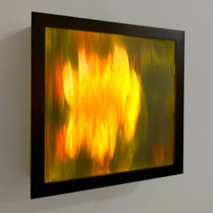 Reduced Landscape: Burn 1 by Maja Petric 