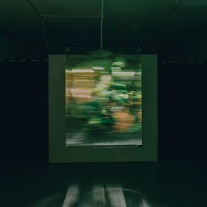 Specimens of Time: Burn by Maja Petric 