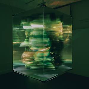 Specimens of Time: Burn by Maja Petric 