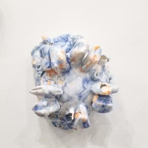Tunicate Test by Kate Rusek 