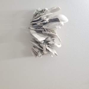 Growth Point by Kate Rusek 