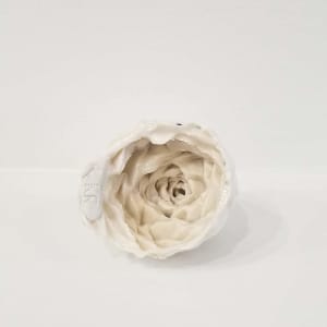 Place Based Pines (MT red) by Kate Rusek