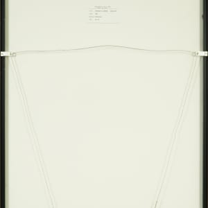 Dannah’s Flowers by Beverly Hallam 