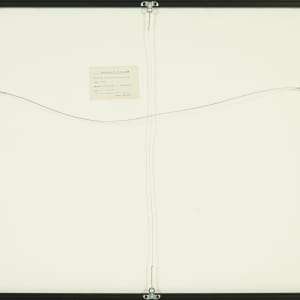 May Sarton’s Arrangements by Beverly Hallam 